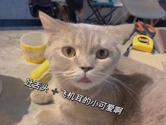 -MIMO CAFE(沙头角店)