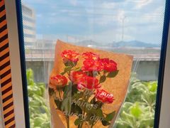 -集美学村