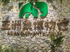 -野象谷景区