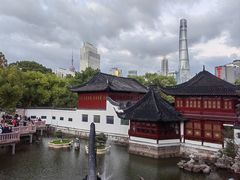 -绿波廊(豫园店)