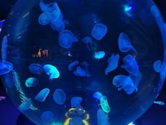 -南昌融创海世界
