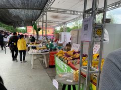 -秀丽东方
