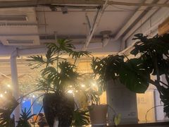 -水边(郯城店)