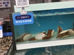 -盒马鲜生(大成店)