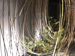-璞素(浦东店)