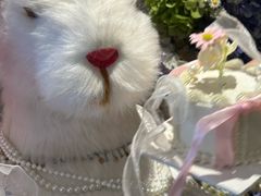 -LE SHARE洛笙·花园西餐(北京路步行街店)