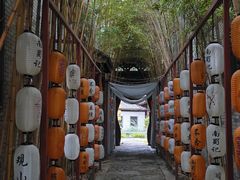 -龙潭水乡