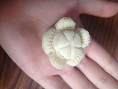 iphone_upload_pic-仿膳饭庄(天安门店)