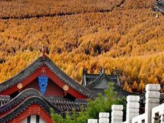 -五台山风景名胜区