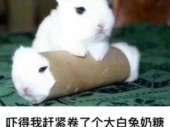 -BeauTea水仙(coco park店)