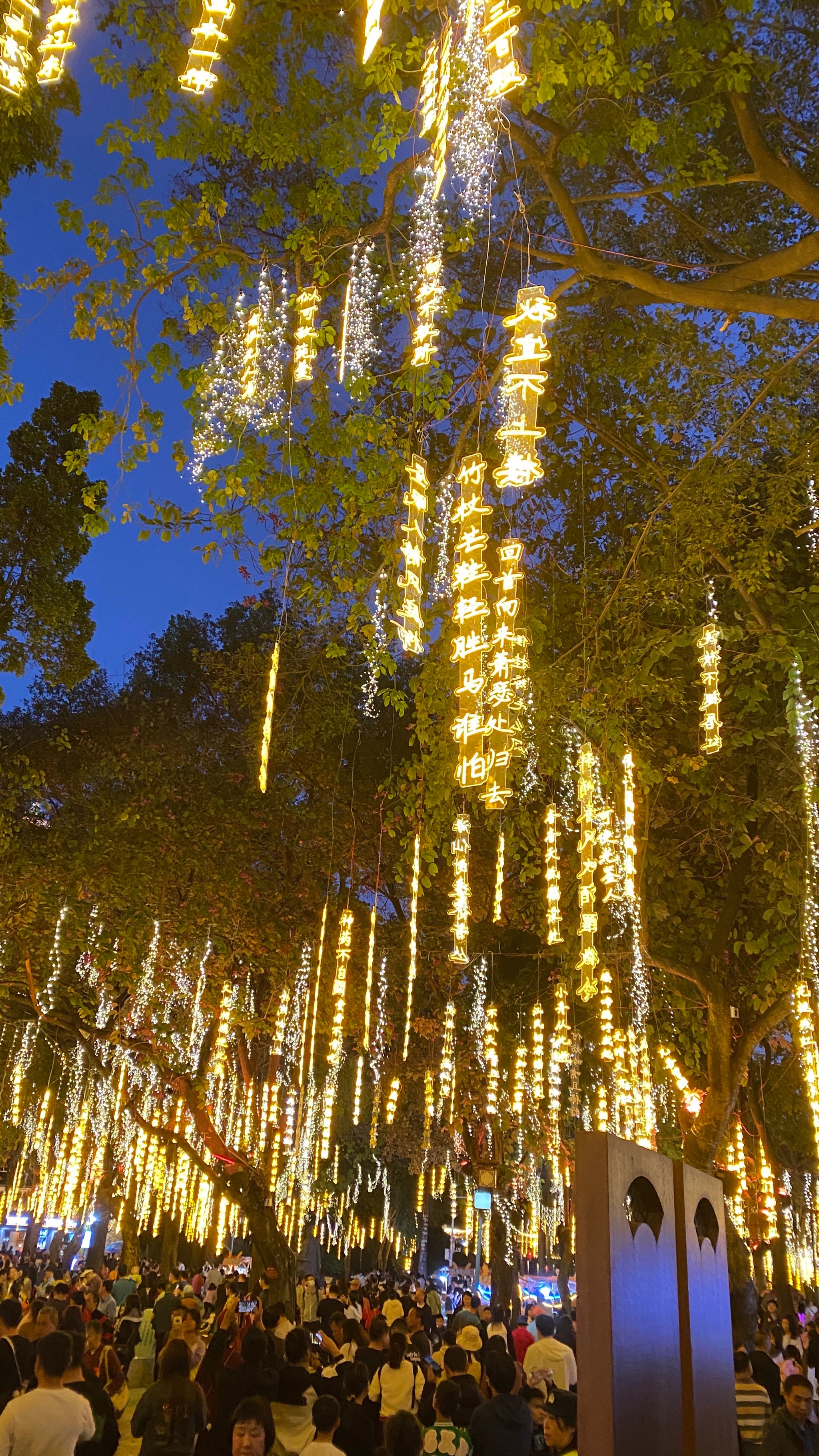 彩灯夜景图片真实图片图片