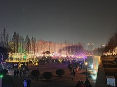 -沙澧河风景区