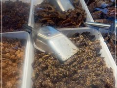 -鑫记婆婆兔·成都特产·兔头手撕兔(太古里店)