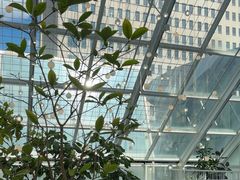 -大树餐厅(红旗街万达店)