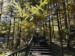 -苏木山森林公园