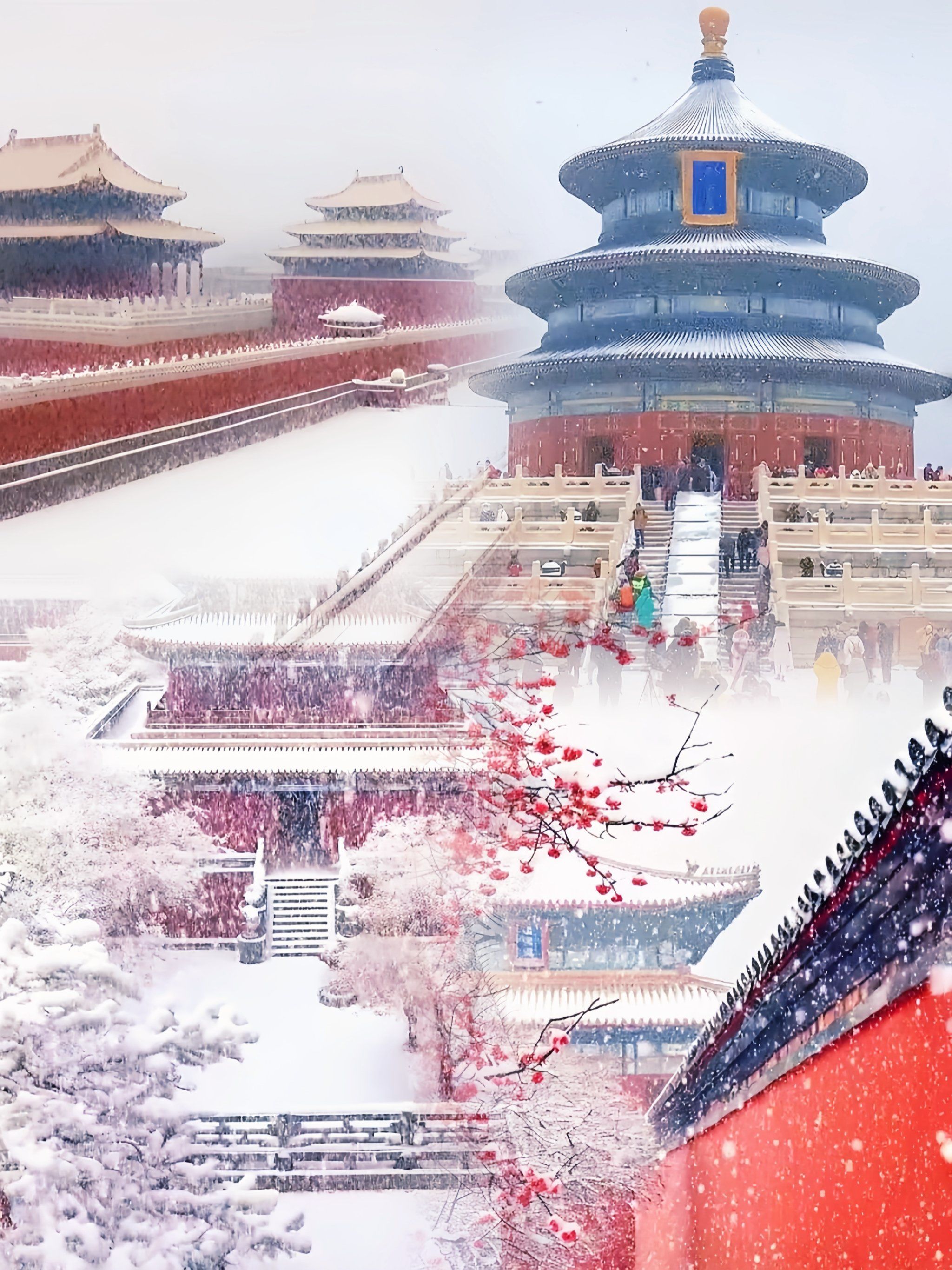 紫禁城银装雪景
这个冬天,故宫穿上了一袭银装,如梦如幻的雪景将这