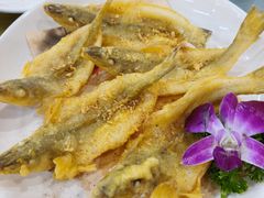 -阿静美食