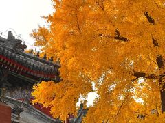 -承恩寺