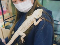 -藦茜花园宠物主题亲子互动体验馆(国顺东路店)
