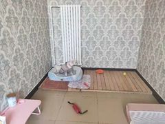 -北京京卫宠物寄养训练中心