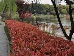 -黄兴公园
