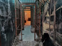 -北京动物园-畅观楼