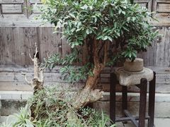 -文儒九号·闽菜馆(三坊七巷店)