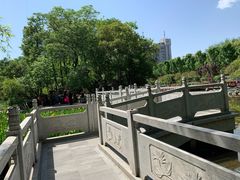 -莲湖公园