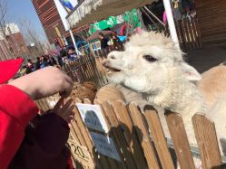 -萌宠亲子动物乐园(槐房万达店)