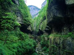 -鹿院坪生态旅游景区