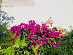 -台州府城(东湖)