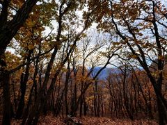 -妙峰山风景名胜区