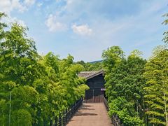 -大唐贡茶院