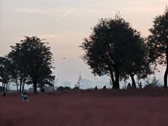 -汉长安城未央宫国家考古遗址公园