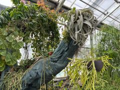 -国家植物园南园