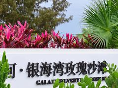 -巽寮印象美食部落餐厅·海鲜·地方特色菜(惠州体验店)