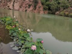 -桑干河大峡谷旅游区