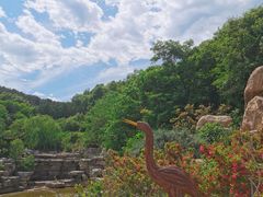 -北京西山国家森林公园