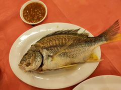 海立魚-深运潮州粥(东门店)