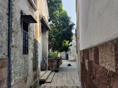 -碧江金楼