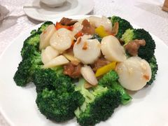 -海港酒家(上水新丰店)