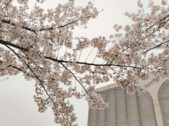 -龙美术馆(西岸馆)
