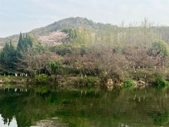 -白马涧龙池景区