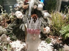 -春树下·树屋花房西餐厅(罍街AS1980店)