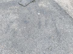 -财记鱼粥·肠粉