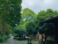 -法云安缦酒店