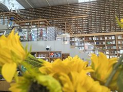 -朵云书院(滴水湖店)