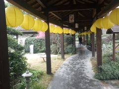 -杭州第一世界大酒店·云曼温泉