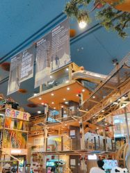 -卡通尼·Safari非洲探索乐园·生日会(金桥国际商业广场店)