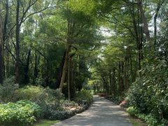 -广州莲花山旅游区